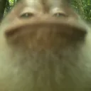 filozofxv