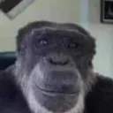 bvrtiii
