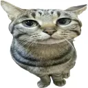qzypher