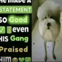 8wo