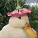 possiblygoober