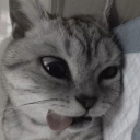 Discord Avatar