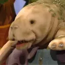 dug9315