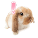 avatar . ˖  ꒰𑁬 ♡ ໒꒱  ˖ .