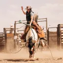 cuttinghorse