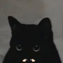 puw.