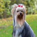 joohnnyy