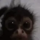 joner0