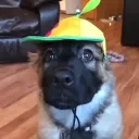 kalibern_