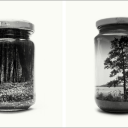 hol1cs#0437's avatar