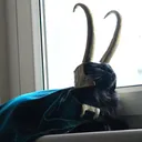 wolfchilla