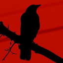 avatar 𝕬𝕯𝕺𝕷𝕱¹⁰¹