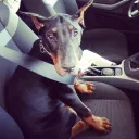 kidvito