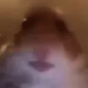 astro.bruh