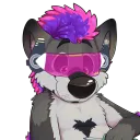 darkwolf80s