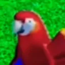 jackisarnie