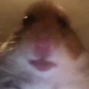 ssamy0