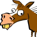 yourhorse
