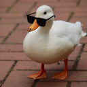 Civitai profile picture for @Quacks