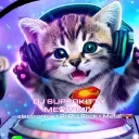 djsuperkitty