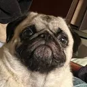 wowawesomesauce