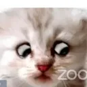 lotuspod_o8