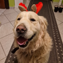 drixnxx#9957's avatar