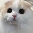 cloudsiege