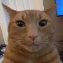 pabslean