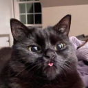 avatar -Jiao- | Hanna