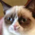 grumpyana