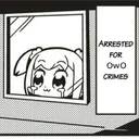 owofest2022