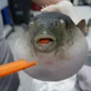 sackn