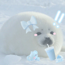 avatar Riko ₍₍⚞(˶˃ ꒳ ˂˶)⚟⁾⁾