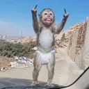 lozhaa