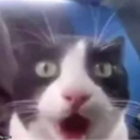 Maxussss's avatar