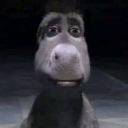 avatar ernzsto