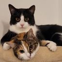 avatar Ricky Corwell