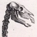 valiant12