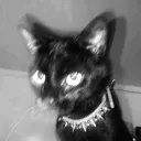 clawstarz