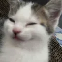 skippyskiddy