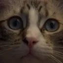 niconimi