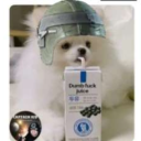 beppe5152#6879's avatar