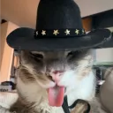 roddyzfps