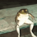 gergoatekergo#2724's avatar