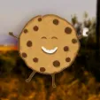texas_cookie