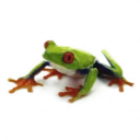 psymia