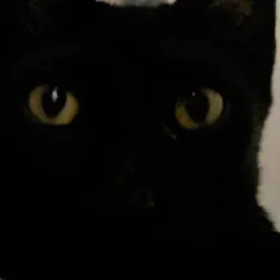 alytreta's Avatar