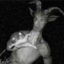 thiccgoat