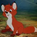 _fox_